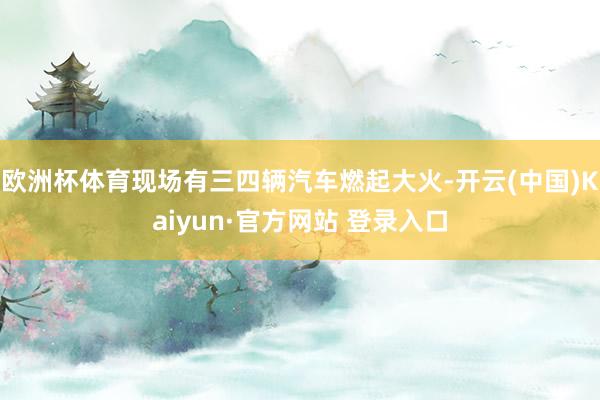 欧洲杯体育现场有三四辆汽车燃起大火-开云(中国)Kaiyun·官方网站 登录入口