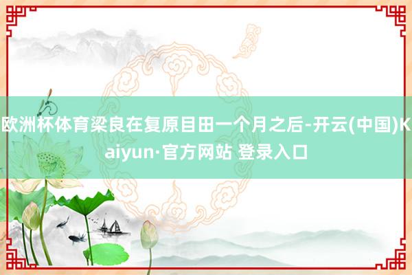 欧洲杯体育梁良在复原目田一个月之后-开云(中国)Kaiyun·官方网站 登录入口