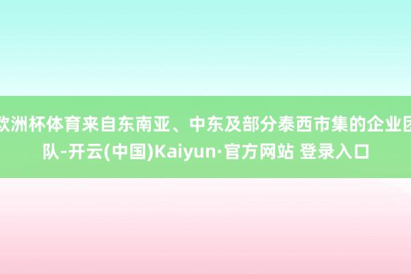欧洲杯体育来自东南亚、中东及部分泰西市集的企业团队-开云(中国)Kaiyun·官方网站 登录入口