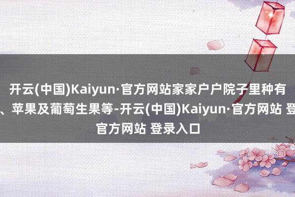 开云(中国)Kaiyun·官方网站家家户户院子里种有桃、李、苹果及葡萄生果等-开云(中国)Kaiyun·官方网站 登录入口