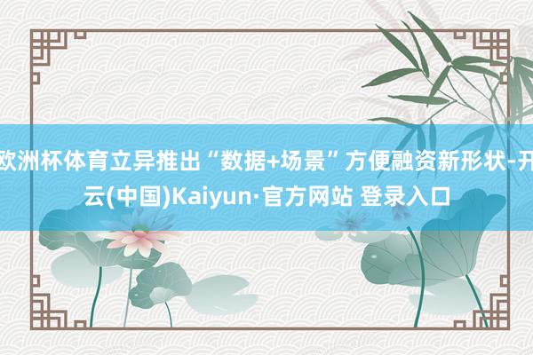 欧洲杯体育立异推出“数据+场景”方便融资新形状-开云(中国)Kaiyun·官方网站 登录入口