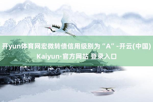 开yun体育网宏微转债信用级别为“A”-开云(中国)Kaiyun·官方网站 登录入口