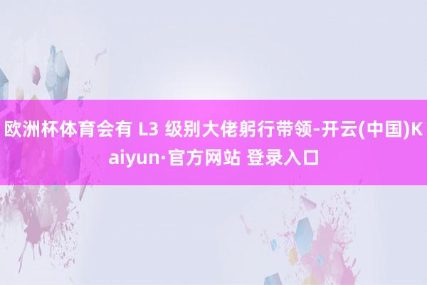 欧洲杯体育会有 L3 级别大佬躬行带领-开云(中国)Kaiyun·官方网站 登录入口