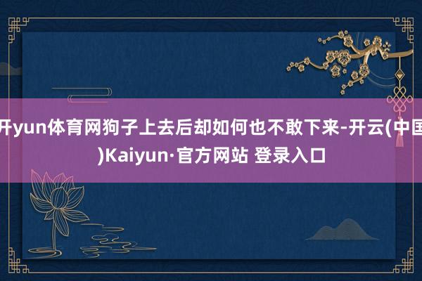 开yun体育网狗子上去后却如何也不敢下来-开云(中国)Kaiyun·官方网站 登录入口