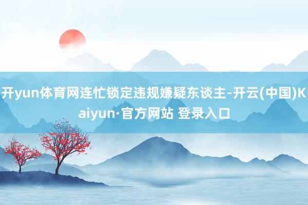 开yun体育网连忙锁定违规嫌疑东谈主-开云(中国)Kaiyun·官方网站 登录入口
