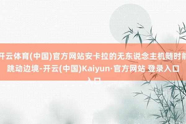 开云体育(中国)官方网站安卡拉的无东说念主机随时能跳动边境-开云(中国)Kaiyun·官方网站 登录入口