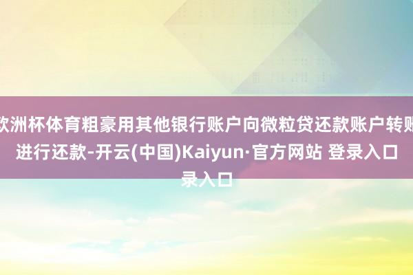 欧洲杯体育粗豪用其他银行账户向微粒贷还款账户转账进行还款-开云(中国)Kaiyun·官方网站 登录入口